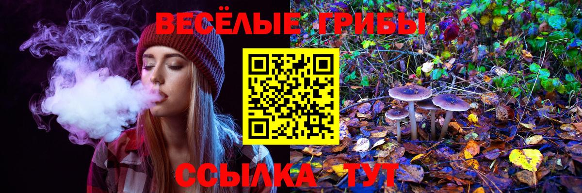 Галлюциногенные грибы прущие грибы Сухой Лог