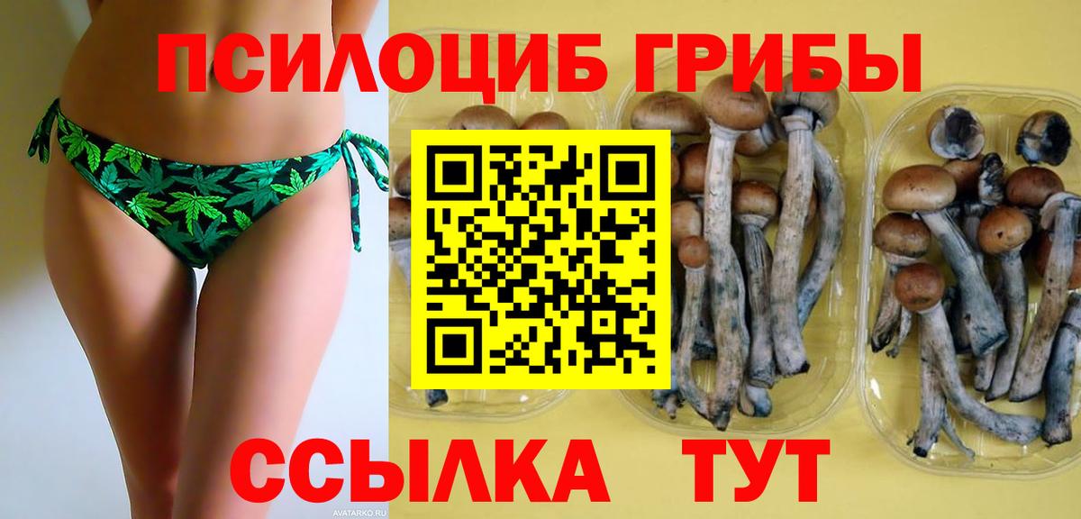хочу   Вход с VPN  Сухой Лог  Галлюциногенные грибы MAGIC MUSHROOMS 